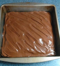 Chocolate Depression Cake