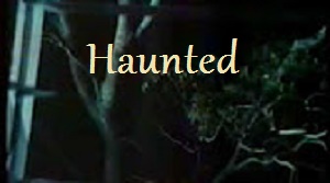 Watch Haunted Online